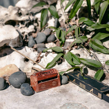 Load image into Gallery viewer, dream lion incense - The wish granter sticks