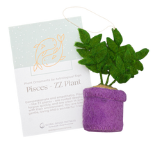 Load image into Gallery viewer, Global Goods Partners - Plant Ornament Astrology Signs With Card: Pisces / ZZ Plant