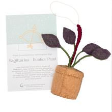 Load image into Gallery viewer, Global Goods Partners - Plant Ornament Astrology Signs With Card: Pisces / ZZ Plant