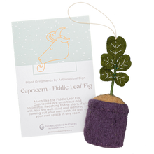 Load image into Gallery viewer, Global Goods Partners - Plant Ornament Astrology Signs With Card: Aries / Cactus