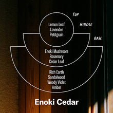 Load image into Gallery viewer, P.F. Candle Co. - Enoki Cedar - Alchemy Incense Cones