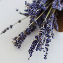 Load image into Gallery viewer, Tea with Tae - Lavender Earl Grey Black Tea Mini Tea Tube Gift (5 tea bags)