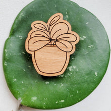 Load image into Gallery viewer, Leaf & Node - Hoya Plant Magnets (Sets of 4) - Wood Engraved