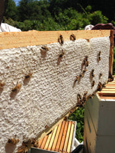 Load image into Gallery viewer, Fresh Pickins - Raw Maine Wildflower Honey | Raw Unfiltered Honey (10oz)