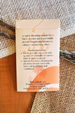 Load image into Gallery viewer, The Elevated Seed Co. - Wildflower Seed Mix- Spring into Summer Blend