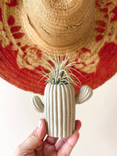 Load image into Gallery viewer, Mini Cactus: Moss / Match Holder