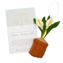 Load image into Gallery viewer, Global Goods Partners - Plant Ornament Astrology Signs With Card: Pisces / ZZ Plant