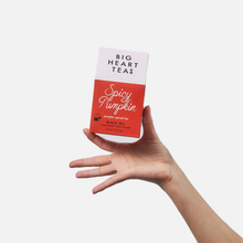 Load image into Gallery viewer, Spicy Pumpkin 10 ct Tea Bags