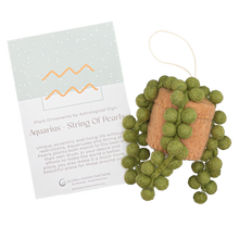 Load image into Gallery viewer, Global Goods Partners - Plant Ornament Astrology Signs With Card: Pisces / ZZ Plant