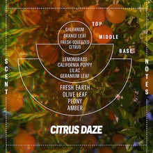 Load image into Gallery viewer, P.F. Candle Co. - *LIMITED* Citrus Daze– Standard Candle