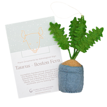 Load image into Gallery viewer, Global Goods Partners - Plant Ornament Astrology Signs With Card: Virgo / Parlor Palm