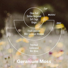 Load image into Gallery viewer, P.F. Candle Co. - Geranium Moss - Alchemy Incense Cones