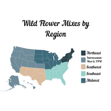 Load image into Gallery viewer, The Elevated Seed Co. - Wildflower Garden Seed Mix- Northeastern