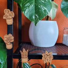Load image into Gallery viewer, Leaf & Node - Houseplant Magnets (Sets of 4) - Wood Engraved