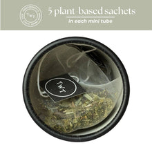 Load image into Gallery viewer, Tea with Tae - Garden Sunrise Mini Tea Tube (5 tea bags)
