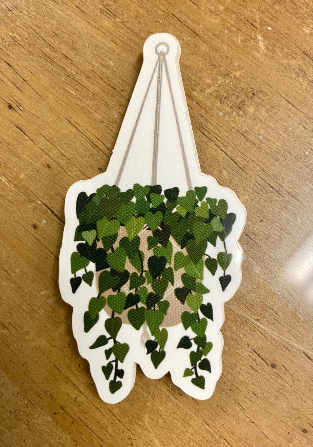 Plant sticker - Hanging plant