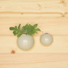 Load image into Gallery viewer, Wall Bubble - Lrg - Flecked White
