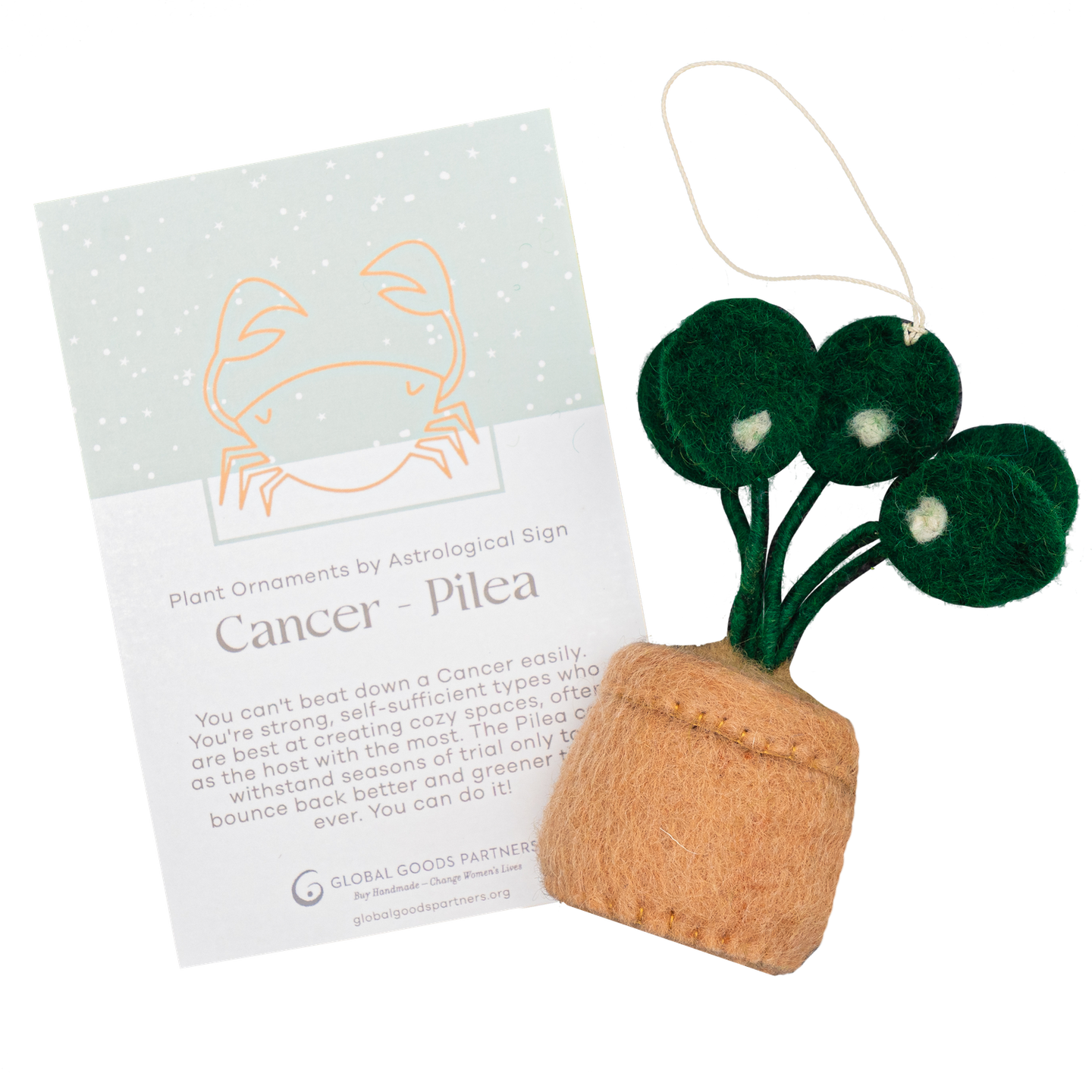 Global Goods Partners - Plant Ornament Astrology Signs With Card: Cancer / Pilea