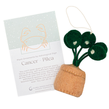 Load image into Gallery viewer, Global Goods Partners - Plant Ornament Astrology Signs With Card: Leo / Monstera
