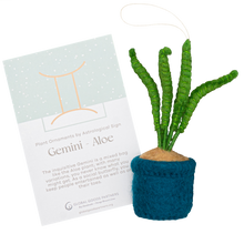 Load image into Gallery viewer, Global Goods Partners - Plant Ornament Astrology Signs With Card: Cancer / Pilea
