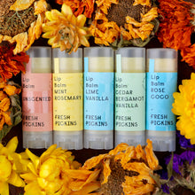 Load image into Gallery viewer, Fresh Pickins - Beeswax Lip Balm | Lime Vanilla | Natural (0.15oz)
