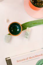 Load image into Gallery viewer, Fresh Pickins - Beeswax Lip Balm | Cedar Bergamot Vanilla | Natural (0.15oz)
