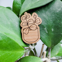 Load image into Gallery viewer, Leaf &amp; Node - Hoya Plant Magnets (Sets of 4) - Wood Engraved
