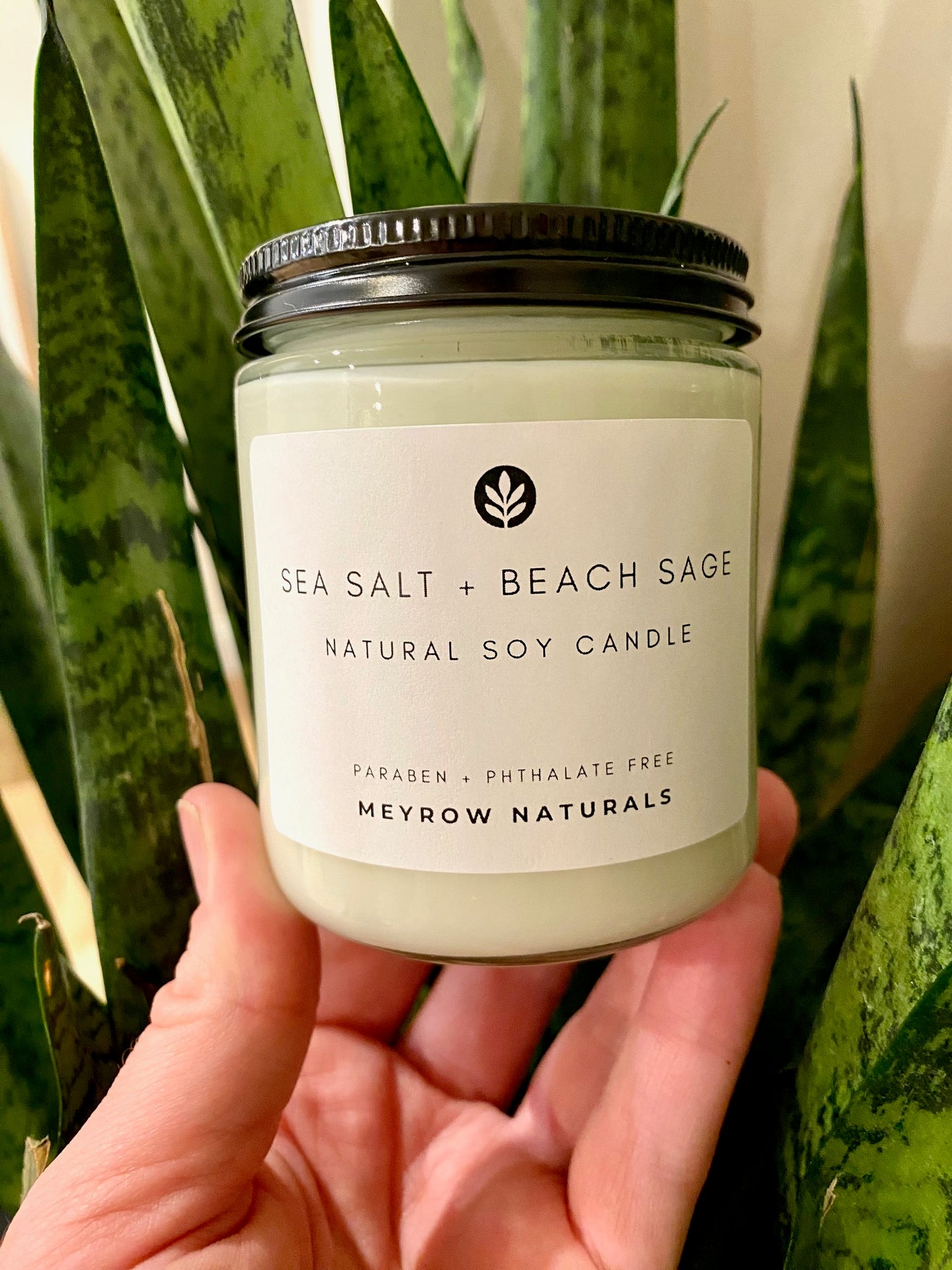 Sea Salt + Beach Sage 7oz Soy Candle