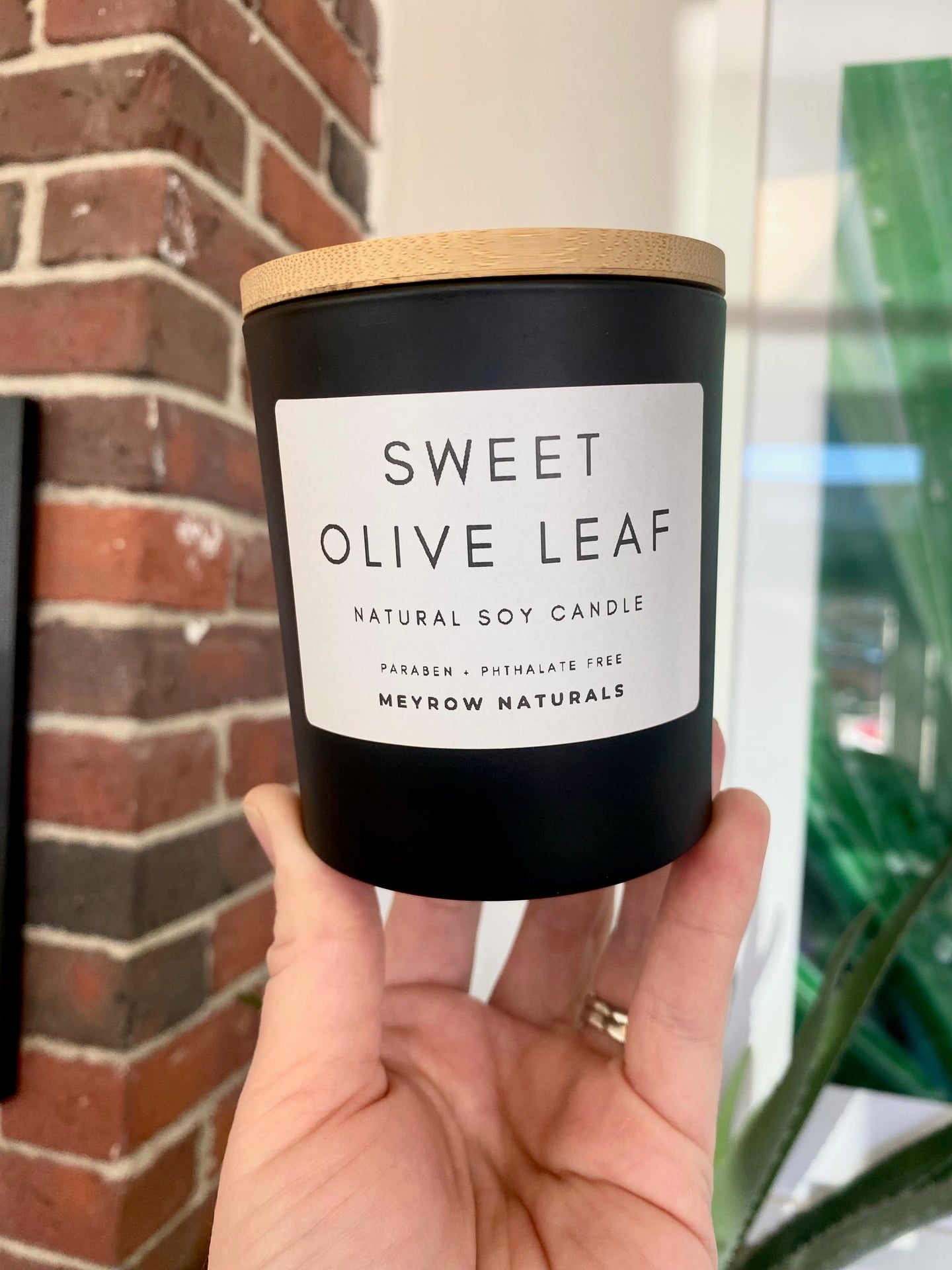 Sweet Olive Leaf 7.5oz Soy Candle