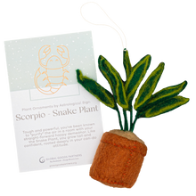 Load image into Gallery viewer, Global Goods Partners - Plant Ornament Astrology Signs With Card: Scorpio / Snake Plant
