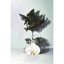 Load image into Gallery viewer, True Hue - Forest Fern Reed Diffuser
