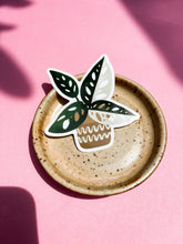 Load image into Gallery viewer, Tiny Plant Market - Variegated Monstera Adansonii Plant Sticker
