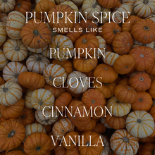 Load image into Gallery viewer, Sweet Water Decor - *NEW* Pumpkin Spice Hanging Air Freshener - Fall Decor
