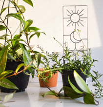 Load image into Gallery viewer, Pine &amp; Sprout - Sun Moon Star Houseplant Trellis: Large / Black
