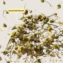 Load image into Gallery viewer, Tea with Tae - Chamomile Mini Tea Tube (5 tea bags)
