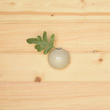 Load image into Gallery viewer, Wall Bubble - Sm - Flecked White
