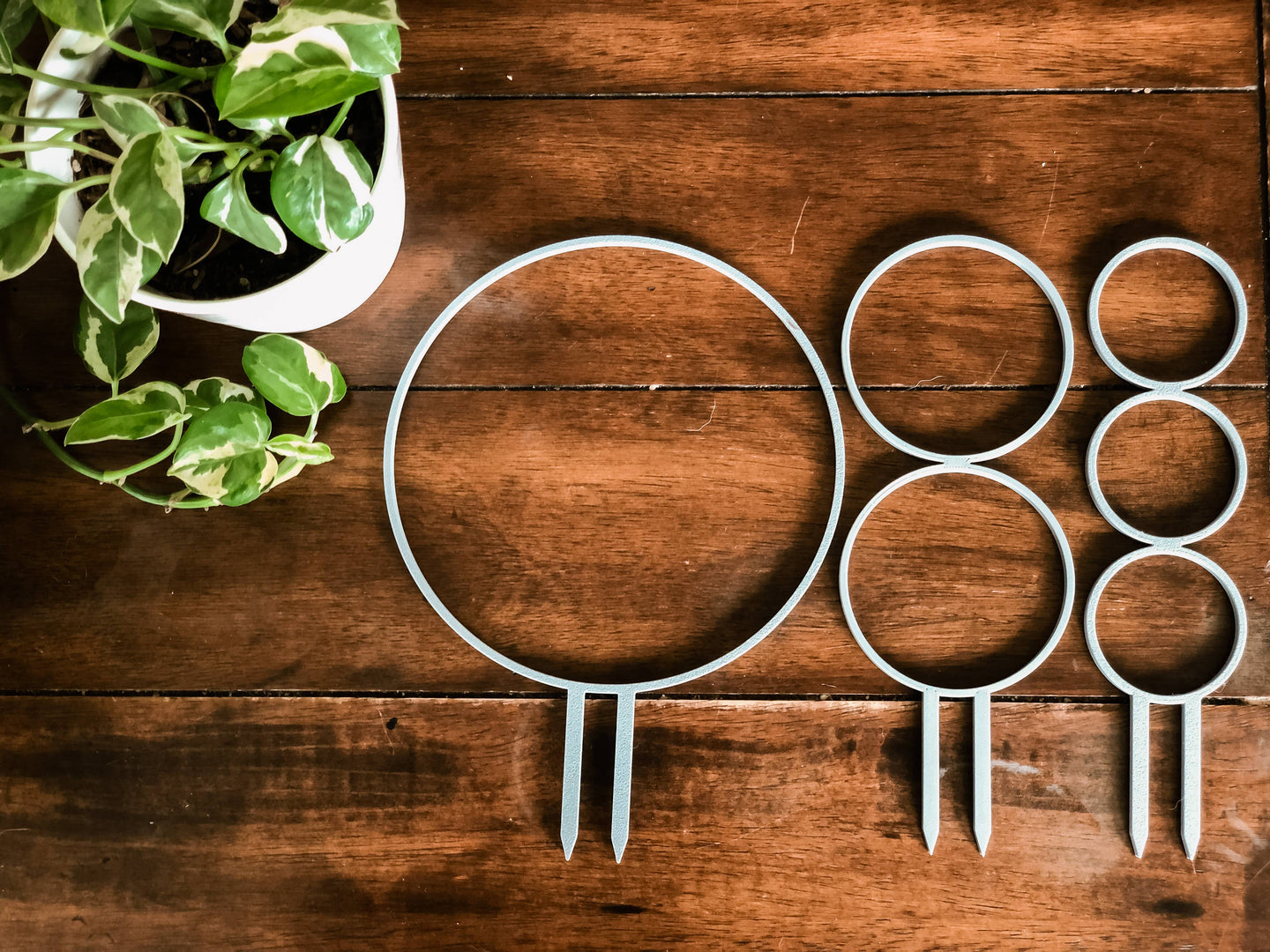 Pine & Sprout - Circle Houseplant Trellis: White / 2 Circles / 9 inches