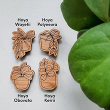 Load image into Gallery viewer, Leaf &amp; Node - Hoya Plant Magnets (Sets of 4) - Wood Engraved

