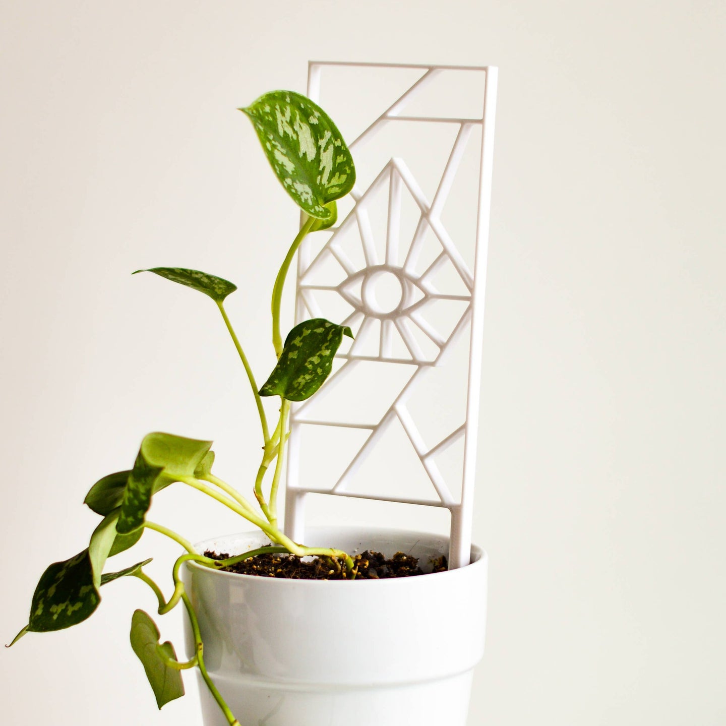 Black Evil Eye Houseplant Trellis