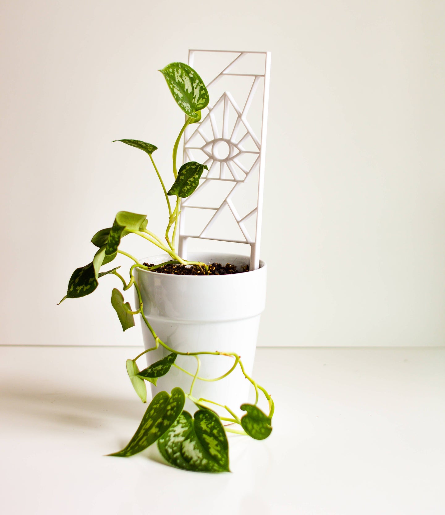 White Evil Eye Houseplant Trellis