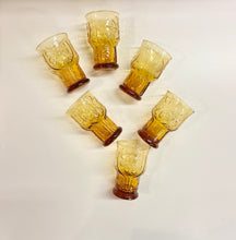 Load image into Gallery viewer, Set of 6 Floral Detail Amber Drinkware
