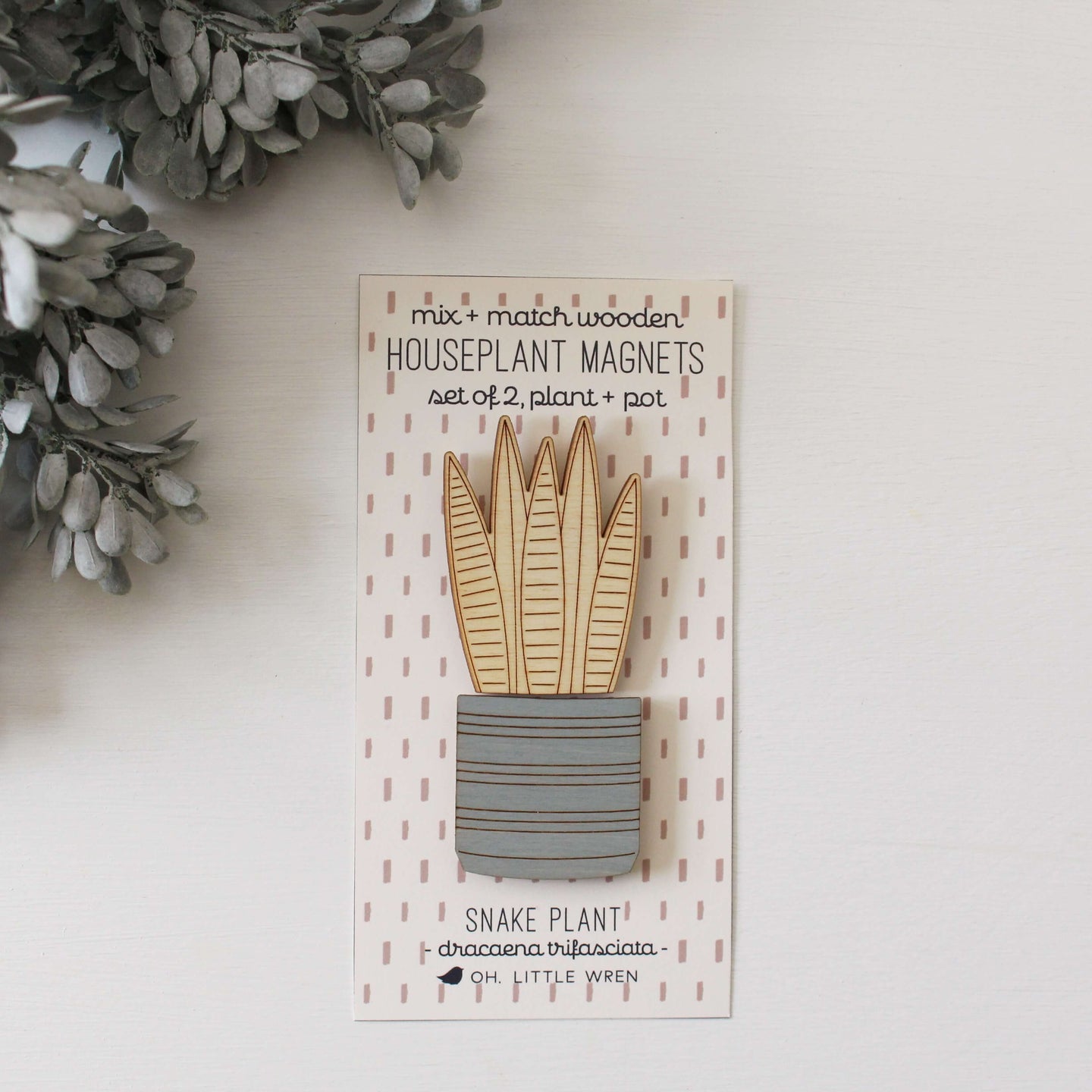Snake plant houseplant magnet