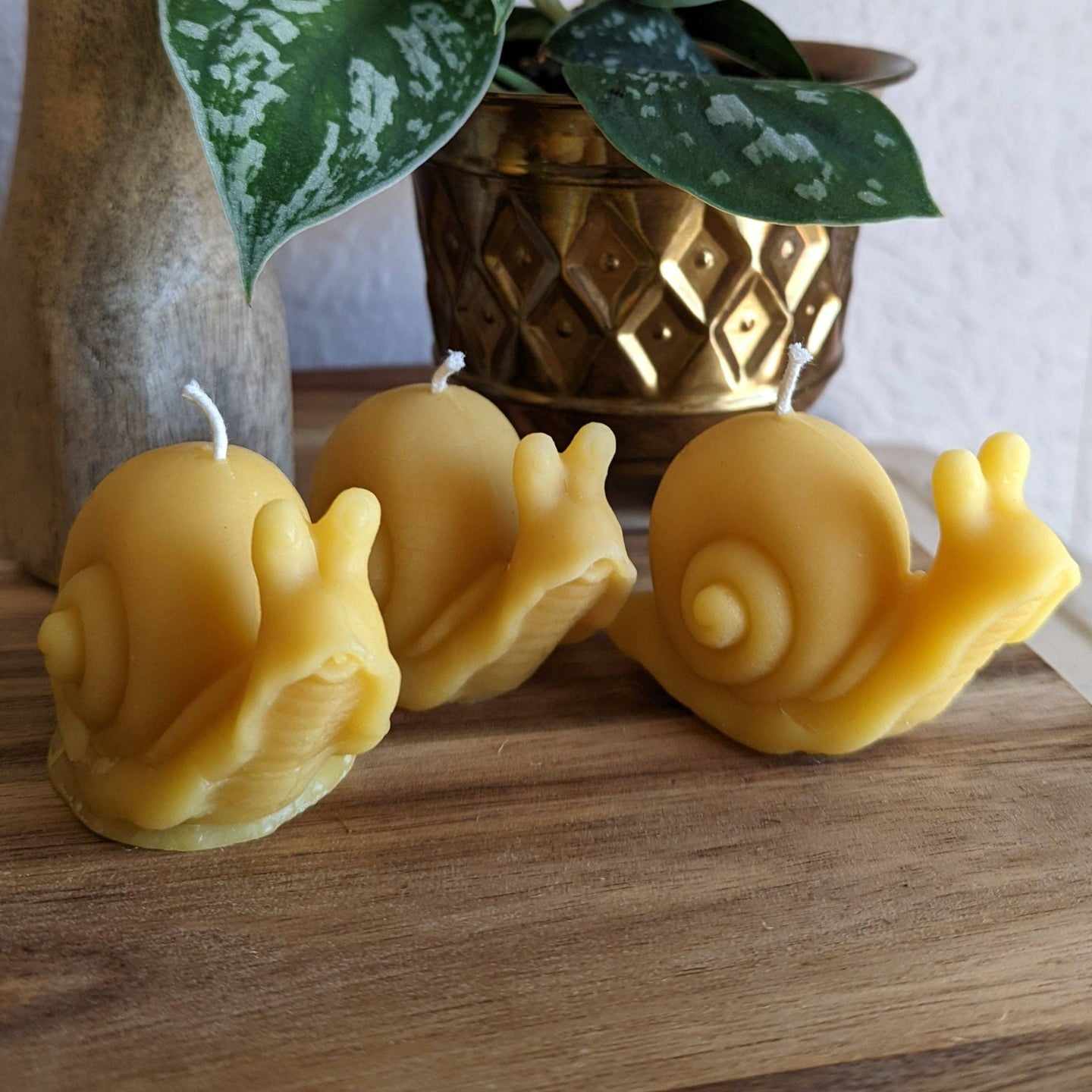 Snail Beeswax Candle