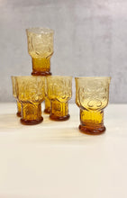 Load image into Gallery viewer, Set of 6 Floral Detail Amber Drinkware
