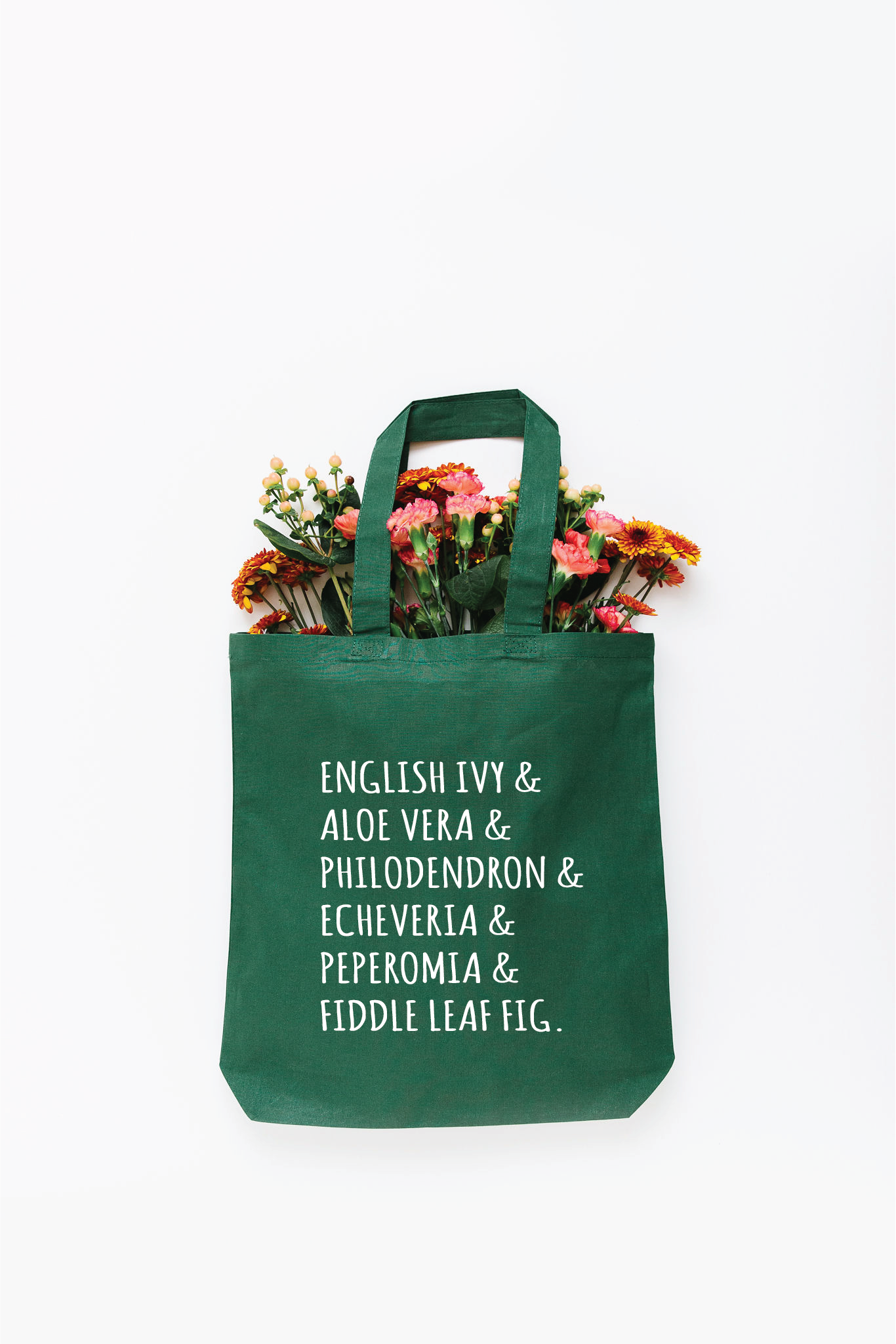 Houseplant List Tote Bag - Small