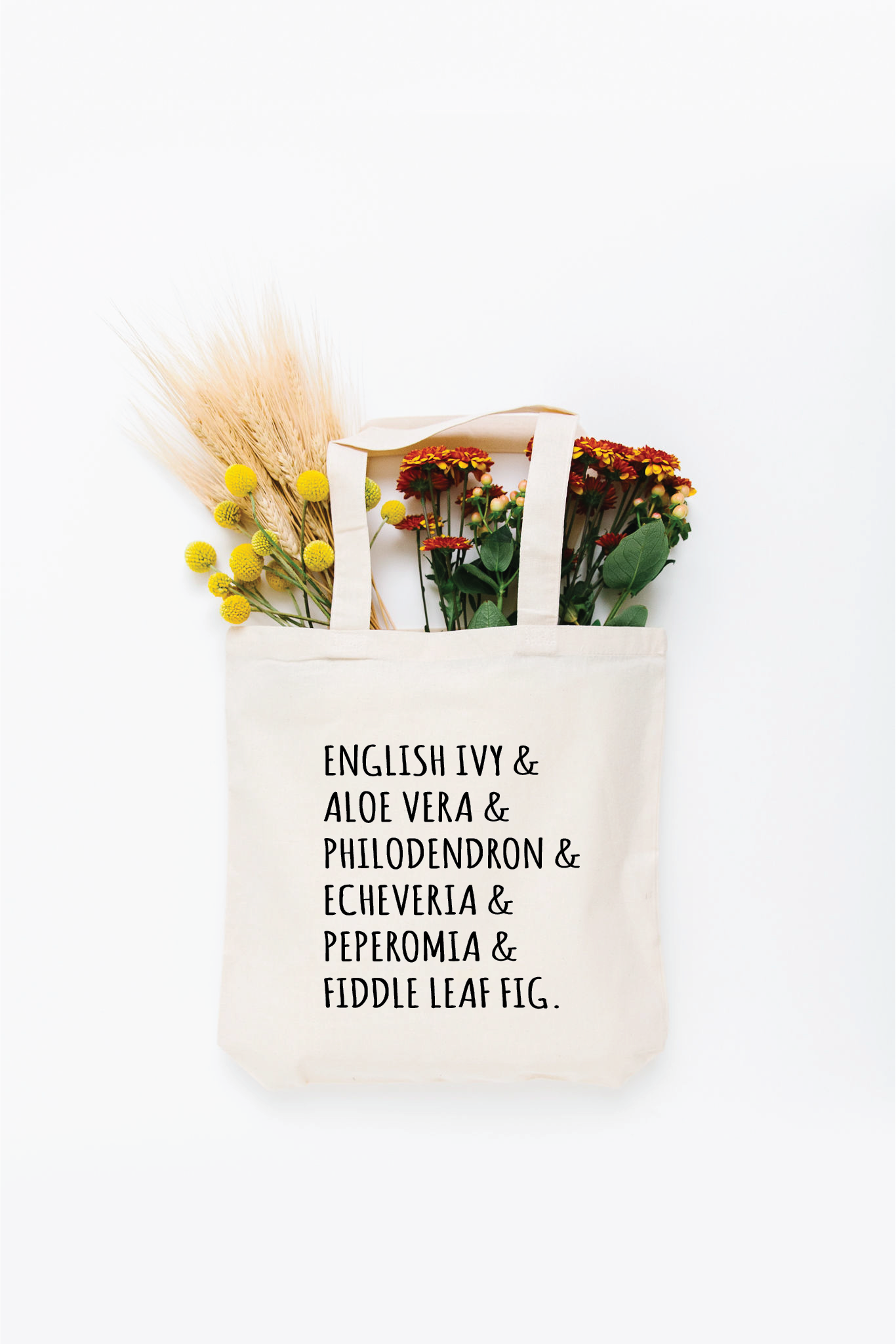 Houseplant List Tote Bag - Small