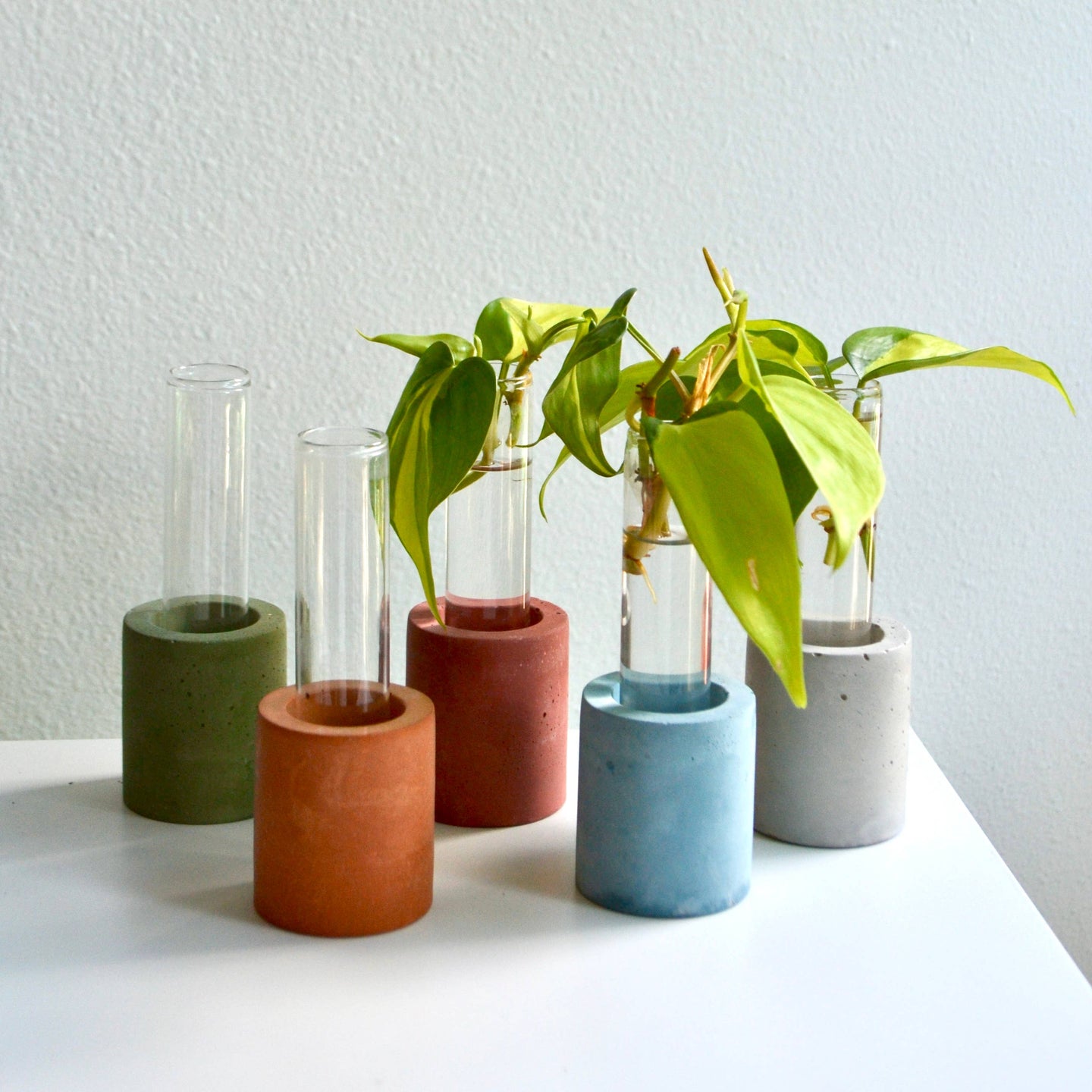 Gray Concrete Propagation Test Tube Vase