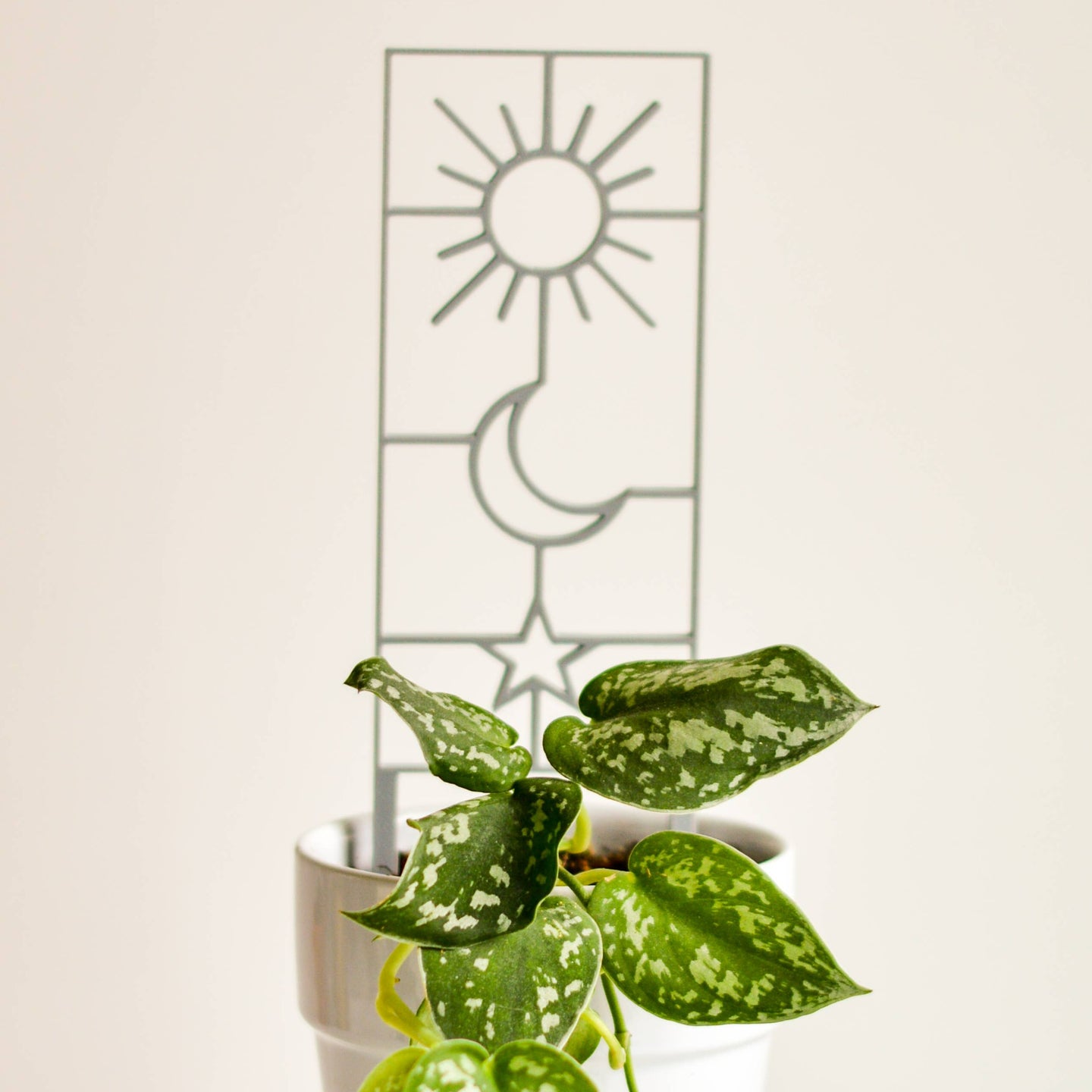 Small Black Sun Moon Star Houseplant Trellis