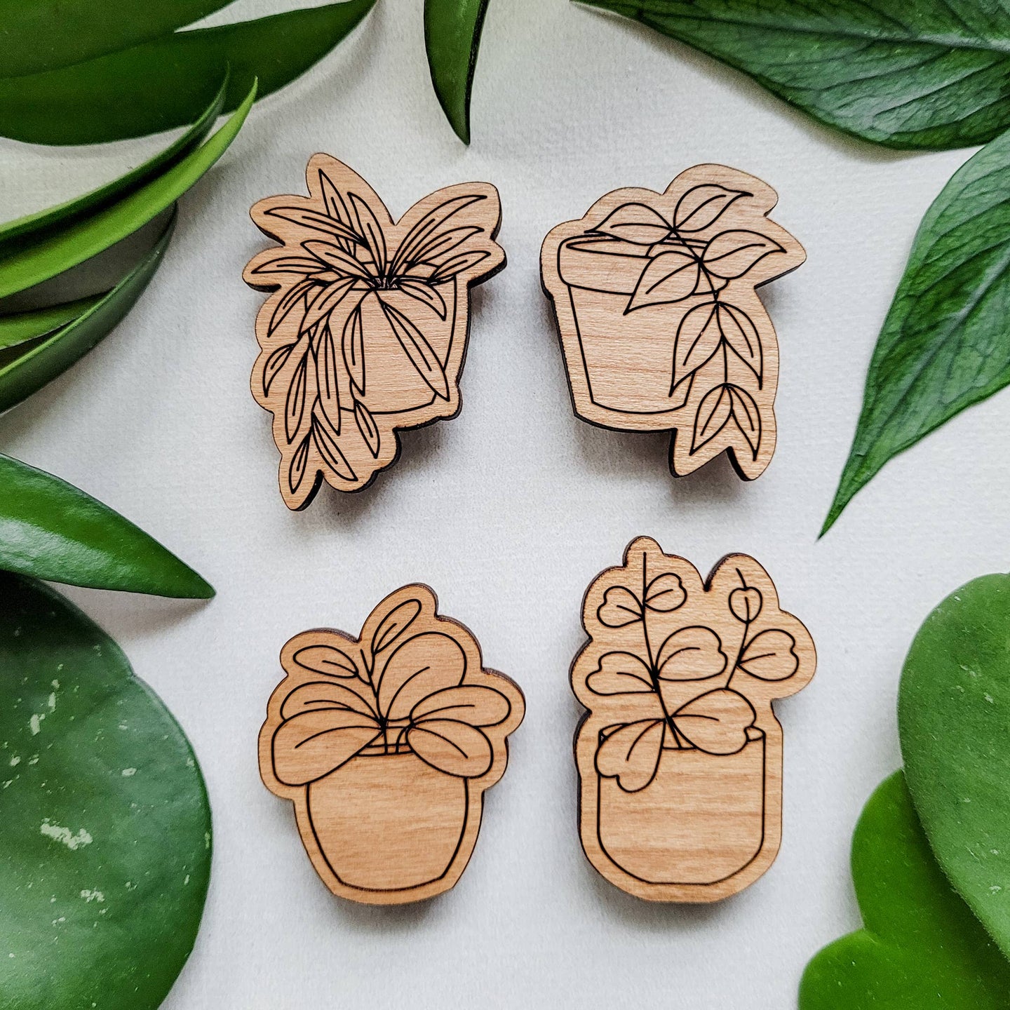 Leaf & Node - Hoya Plant Magnets (Sets of 4) - Wood Engraved