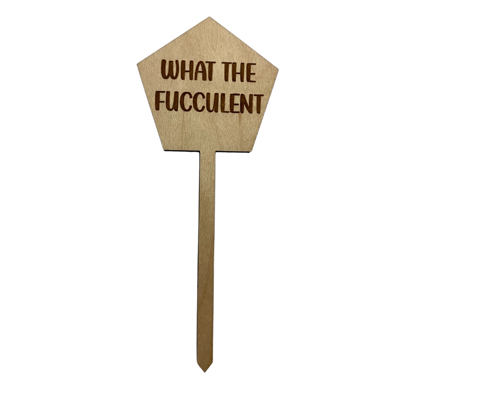 What The Fucculent Wood Plant Stake